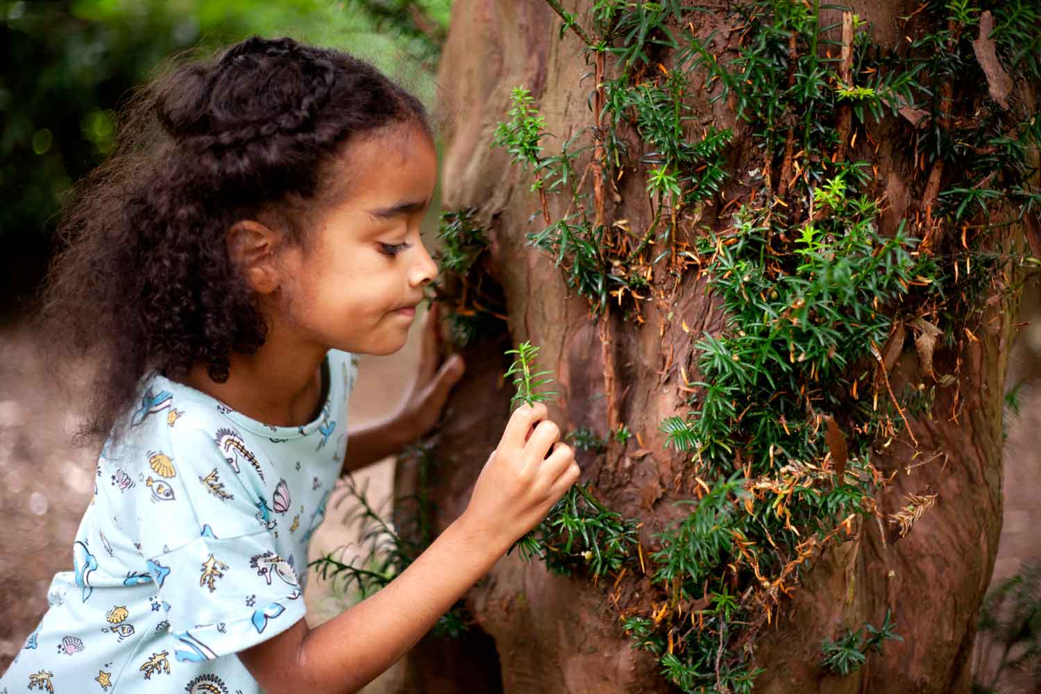 Bramble Ramble activity