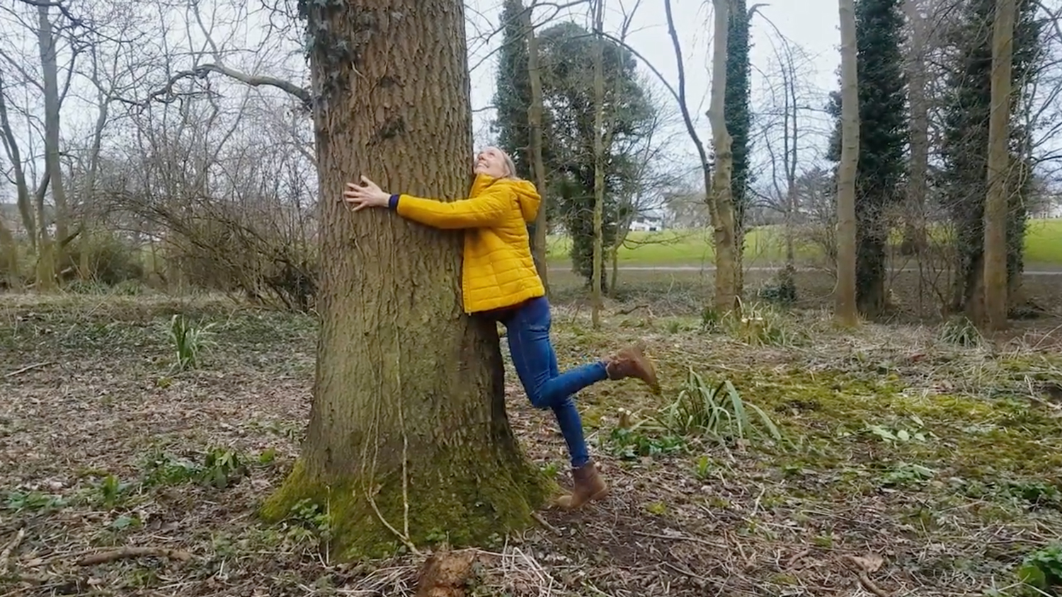 Sense Safari activity